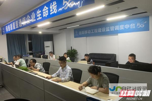 岳阳网络公司：助力企业数字化转型，提升品牌影响力