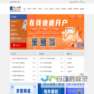 网上中期