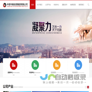 中首华奥投资集团有限公司
